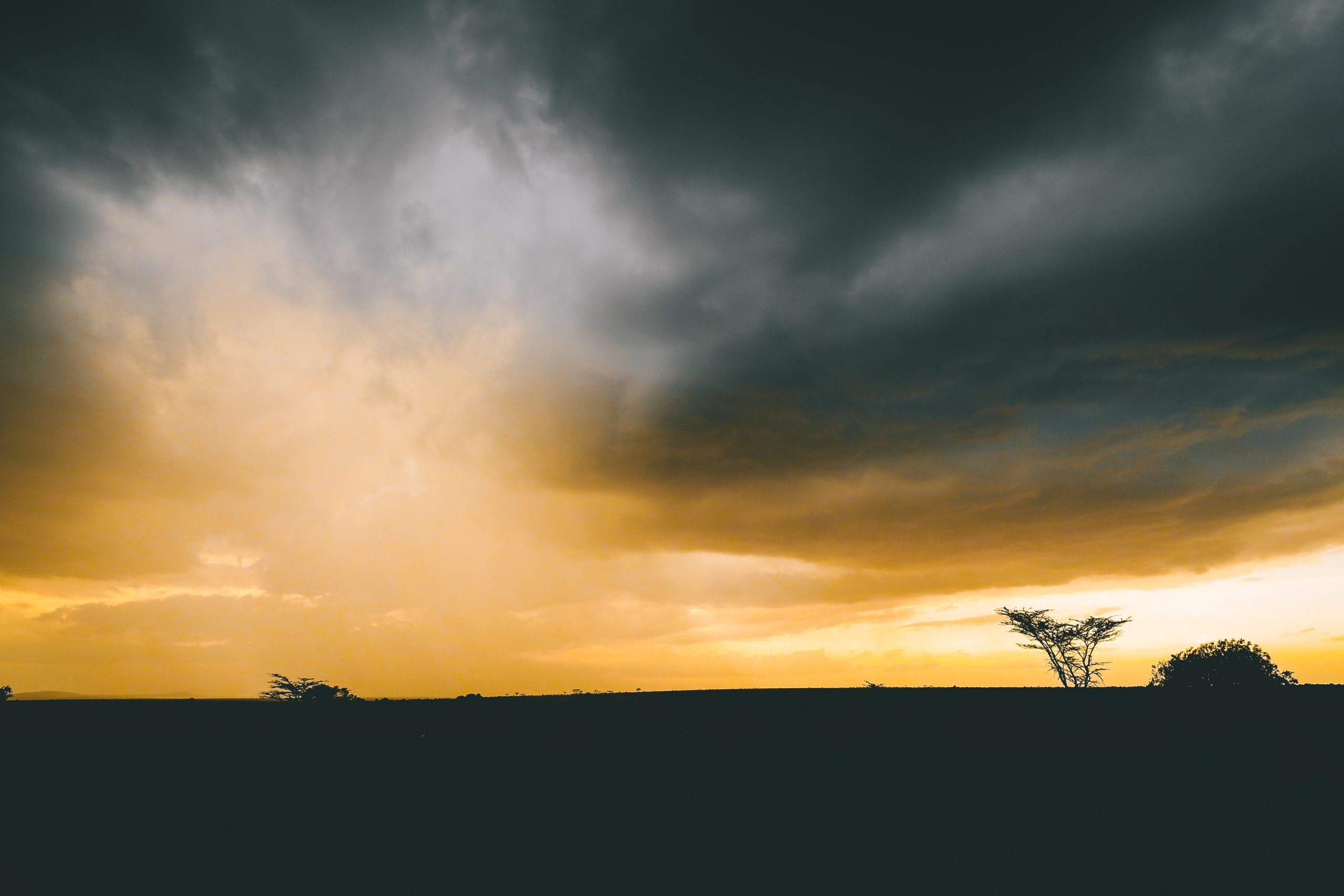 Zimbabwe